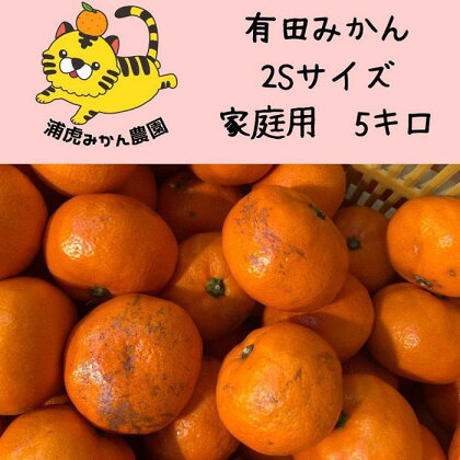 訳あり温州みかん 家庭用 5kg（SSサイズ）小さなミカンが好きな人におすすめ