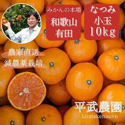 農家直送！なつみオレンジ 小玉10kg【平武農園】～蛍飛ぶ町から旬の便り～