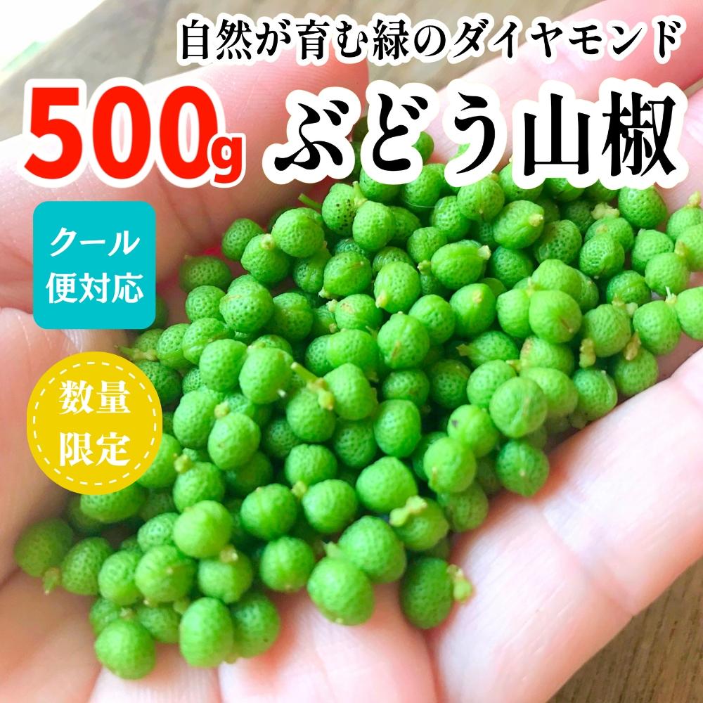 [5月下旬出荷予定]ぶどう山椒 500g 実山椒 生山椒 クール便対応 和歌山県産 | 山椒 さんしょう ぶどう山椒 和歌山県産 国産 調味料 香辛料 スパイス 食品 ふるさと納税 返礼品