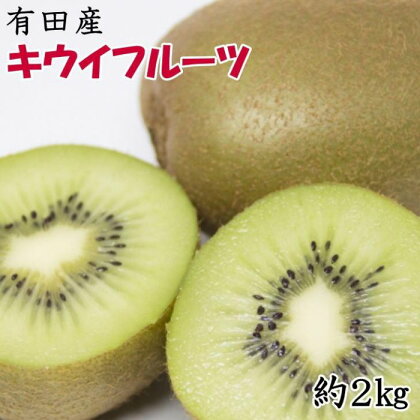 【人気】有田産キウイフルーツ約2kg（サイズ混合）★2025年1月下旬頃より順次発送