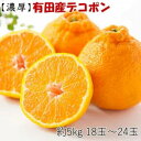 【ふるさと納税】【お味濃厚】紀州有田産のデコポン約5kg(18玉～24玉入り 青秀以上)★2025年1月下旬頃より順次発送 果物 フルーツ 蜜柑 ミカン 不知火 和歌山産 有田川町産 名産 特産 名物 食品 人気 おすすめ 送料無料