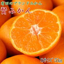 17位! 口コミ数「5件」評価「4.2」[秀品]有田のブランド「賢みかん」5kg(Sサイズ) 【2024年11月中旬頃より順次発送】 | 先行予約 和歌山 果物 くだもの フルーツ･･･ 