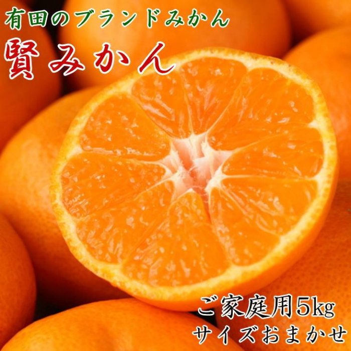 有田のブランド「賢みかん」5kg(S〜Lサイズおまかせ)ご家庭用[2024年11月中旬頃より順次発送] | 先行予約 和歌山 果物 くだもの フルーツ 柑橘 蜜柑 ブランド 取り寄せ ご当地 期間限定 [2023年11月中旬頃より順次発送]