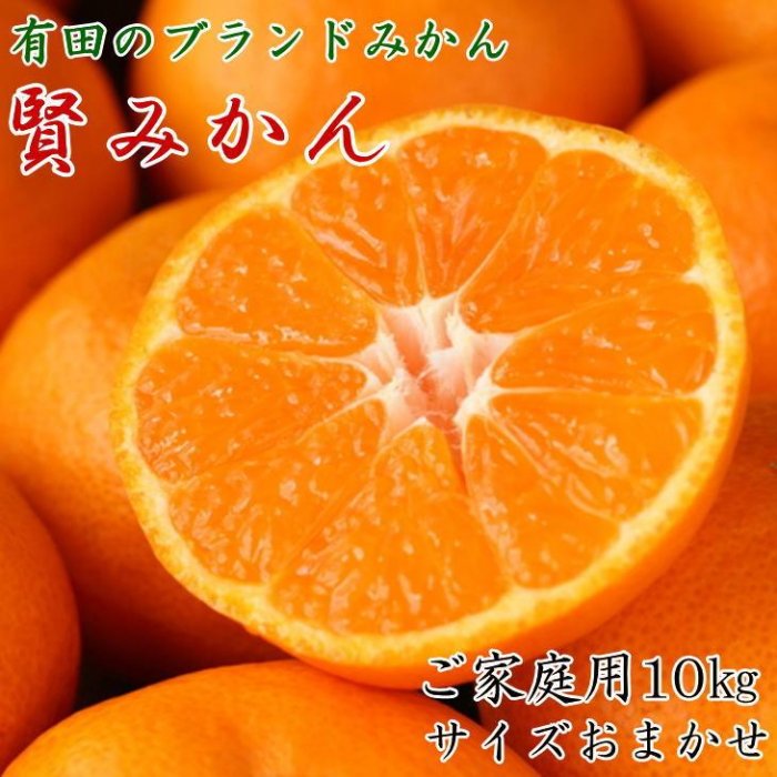 【ふるさと納税】有田のブランド 賢みかん 10kg S～Lサイズおまかせ ご家庭用【2024年11月中旬頃より順次発送】