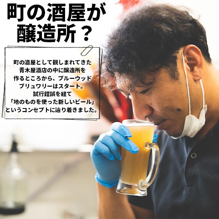 【ふるさと納税】ブルーウッドブリュワリー定番と季節のおすすめビール4本セットA