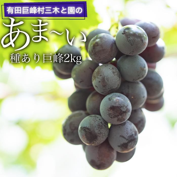 16位! 口コミ数「6件」評価「3.33」有田巨峰村三木と園のあま～い種あり巨峰2kg | 果物 フルーツ ぶどう ブドウ 葡萄 産直 産地直送 おすすめ お取り寄せ 先行予約 期間･･･ 