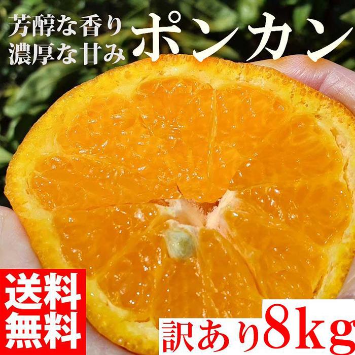 【ふるさと納税】ぽんかん ポンカン 8kg 訳あり 産地直送 オレンジ フルーツ 果物