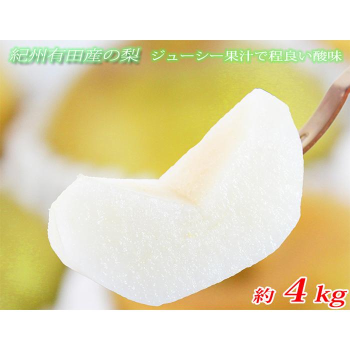 【ふるさと納税】ジューシー果汁の紀州有田産の梨約4kg 化粧箱入【先行予約】【2025年8月下旬以降発送予定】