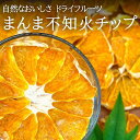 11位! 口コミ数「0件」評価「0」ドライフルーツ しらぬいチップ 100g ( 20g × 5袋 ) 和歌山県産 果物使用 自社製造 【みかんの会】 | 和歌山 おやつ 果物･･･ 