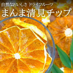 【ふるさと納税】ドライフルーツ きよみチップ 200g ( 20g × 10袋 ) 和歌山県産 果物使用 自社製造 【みかんの会】 | 和歌山 おやつ 果物 みかん 清見 きよみ オレンジ チップ 食べきり 取り寄せ 人気