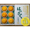 【ふるさと納税】化粧箱 手詰め 有田 はっさく 特秀 大玉 3L サイズ × 6玉入 南泰園 みかん