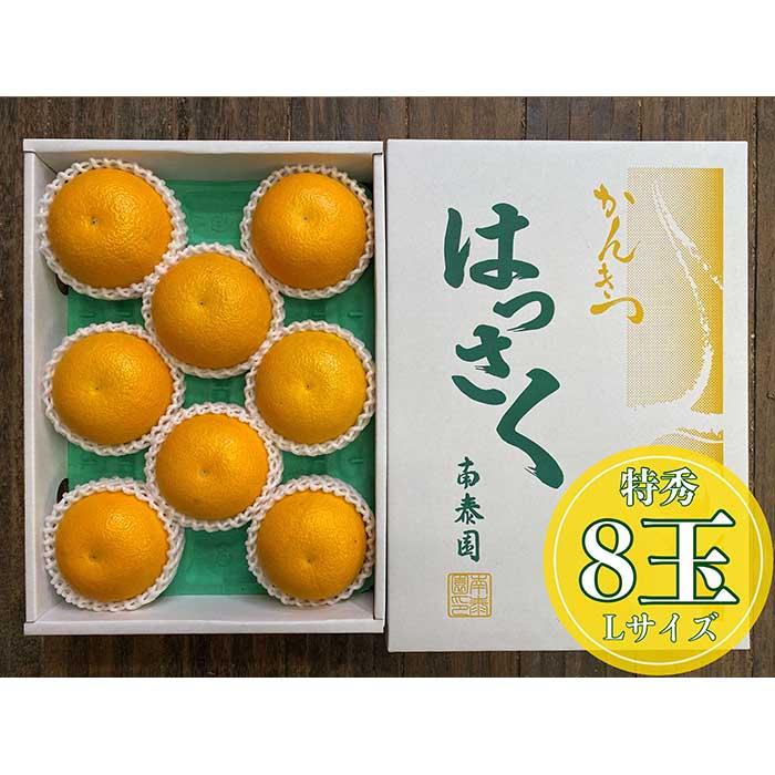 【ふるさと納税】化粧箱 手詰め 有田 はっさく 特秀 L サイズ × 8玉入 南泰園 みかん
