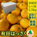 【ふるさと納税】訳あり 傷多め 有田 はっさく L または M サイズ 5.5kg 南泰園 みかん(4)