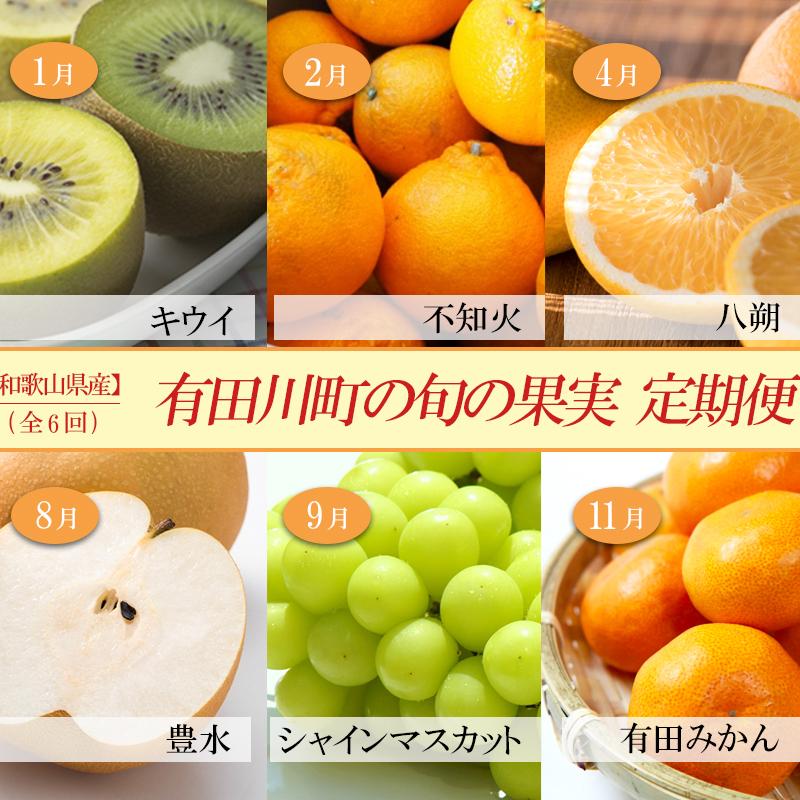 【ふるさと納税】【定期便全6回】 有田川町の旬のフルーツをお届け！
