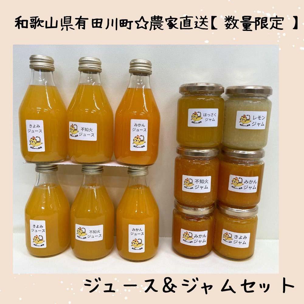 【ふるさと納税】数量限定！店主にお任せ　農家直送の無添加の柑橘ジュース＆ジャムセット