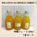【ふるさと納税】数量限定 有田みかんの産地から届く 果汁100%! 搾りたての柑橘ジュース 180ml×5本