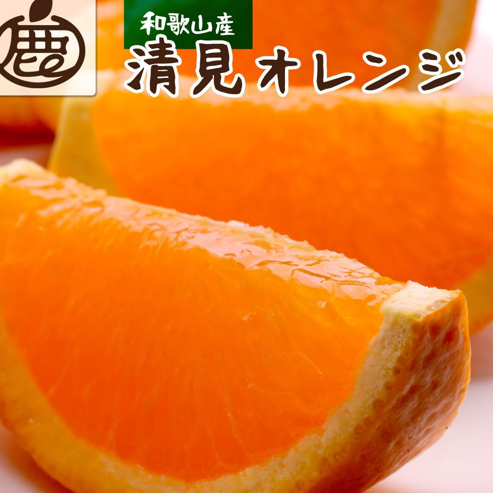 【ふるさと納税】［先行予約］厳選 清見オレンジ5kg+250g（傷み補償分）［光センサー食頃出荷］［樹上完熟きよみオレンジ・清見タンゴール・清美］ | フルーツ 果物 くだもの 食品 人気 おすすめ 送料無料