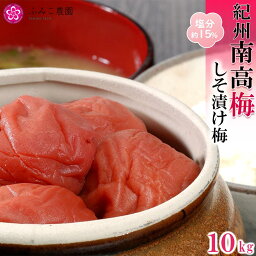 【ふるさと納税】紀州南高梅　しそ漬け梅10Kg