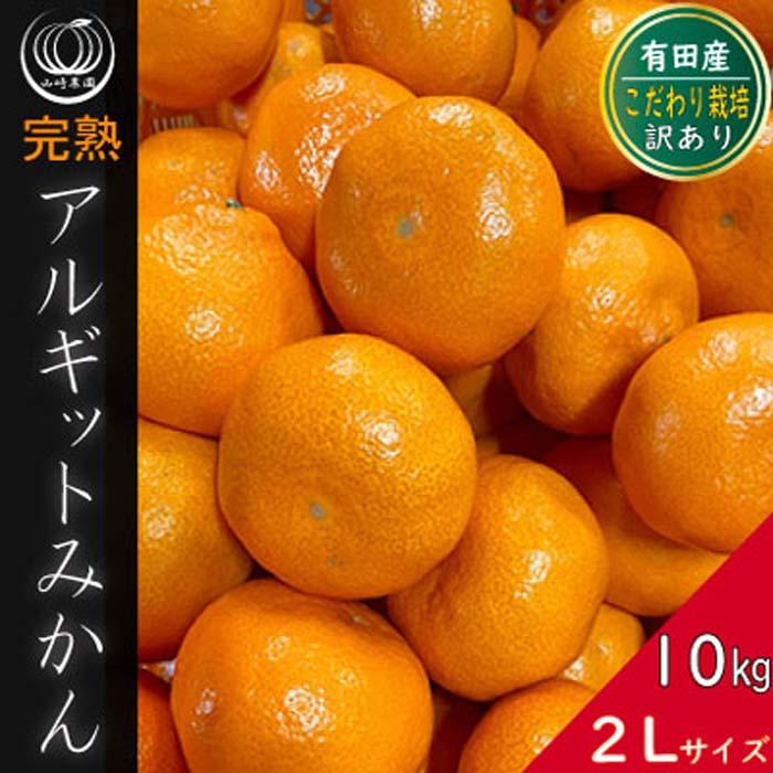 完熟 アルギット みかん 10kg 2L サイズ 訳あり | 年内発送 可 先行予約 みかん 有田みかん 甘い おいしい ジューシー 皮 薄い 完熟 期間限定 フルーツ 果物 人気 おすすめ 高級 こだわり ギフト 旬 お取り寄せ 送料無料 和歌山 コスパ