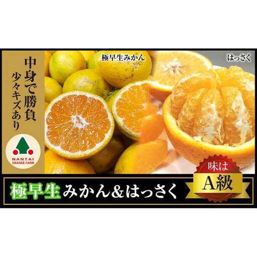 【ふるさと納税】定期便 手さげ箱 セット 極早生 有田みかん & はっさく 全2回 南泰園 みかん 【ふるさと納税】定期便 手さげ箱 セット 極早生 有田みかん & はっさく 全2回 南泰園 みかん