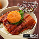 【ふるさと納税】紀州南高梅うな丼 うなぎ蒲焼 240g × 紀州南高梅干 80g うす塩味 塩分10% 約3人前 | うなぎ 蒲焼 南高梅 梅干し 梅干 セット...