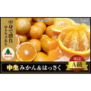 【ふるさと納税】定期便 手さげ箱 セット 中生 有田みかん & はっさく 全2回 南泰園 | フルーツ 果物 くだもの 食品 人気 おすすめ 送料無料