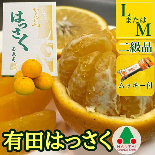 【ふるさと納税】手詰め 有田 はっさく L × 8玉 または M × 10玉 サイズ ちょっと 傷あり ムッキー 同梱 南泰園 みかん | フルーツ 果物 くだもの 食品 人気 おすすめ 送料無料 【ふるさと納税】手詰め 有田 はっさく L × 8玉 または M × 10玉 サイズ ちょっと 傷あり ムッキー 同梱 南泰園 みかん | フルーツ 果物 くだもの 食品 人気 おすすめ 送料無料