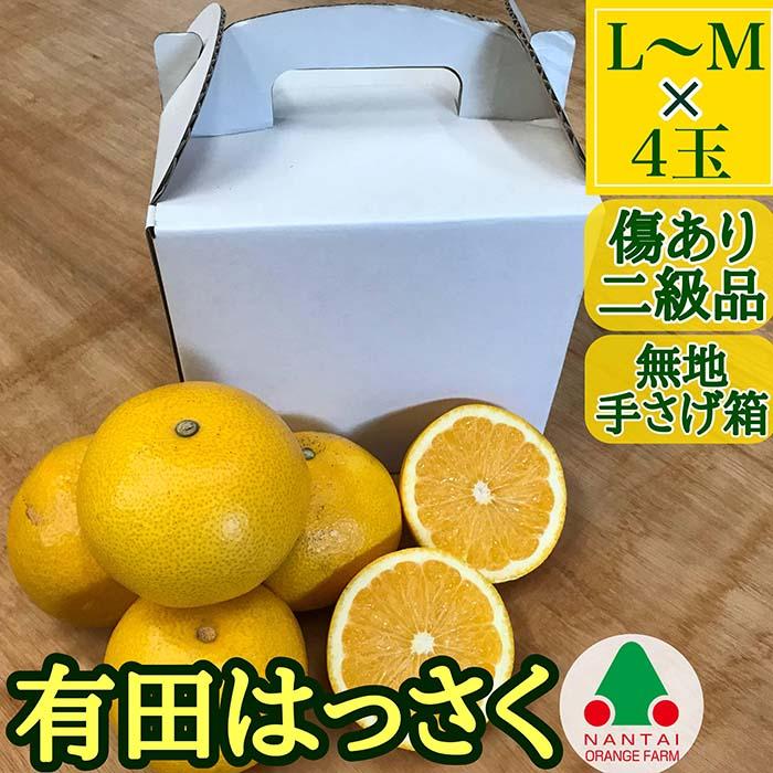 23位! 口コミ数「5件」評価「4」有田 はっさく L または M 4玉入 ちょっと 傷あり 手さげ箱 南泰園