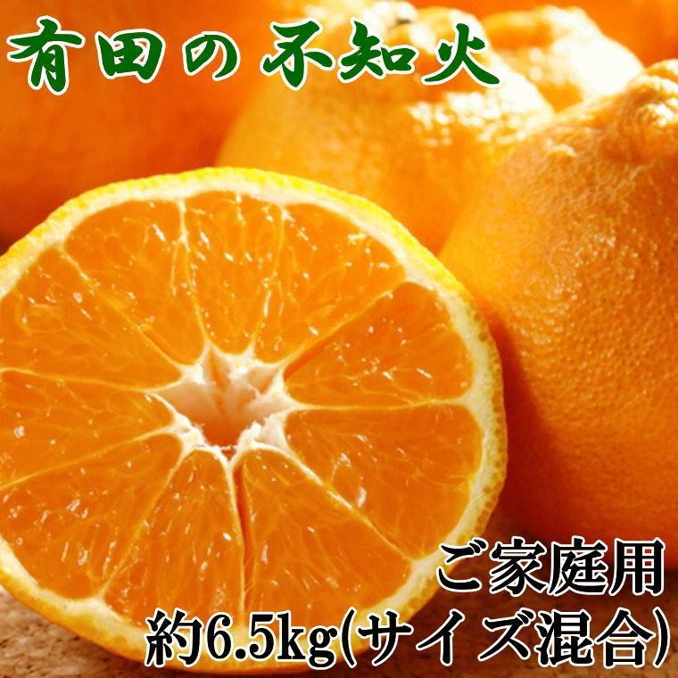 有田の不知火 約6.5kg サイズ混合[ 濃厚 ご家庭用向け ]★2025年2月上旬頃より順次発送 | みかん 蜜柑 フルーツ 果物 くだもの 食品 人気 おすすめ 送料無料