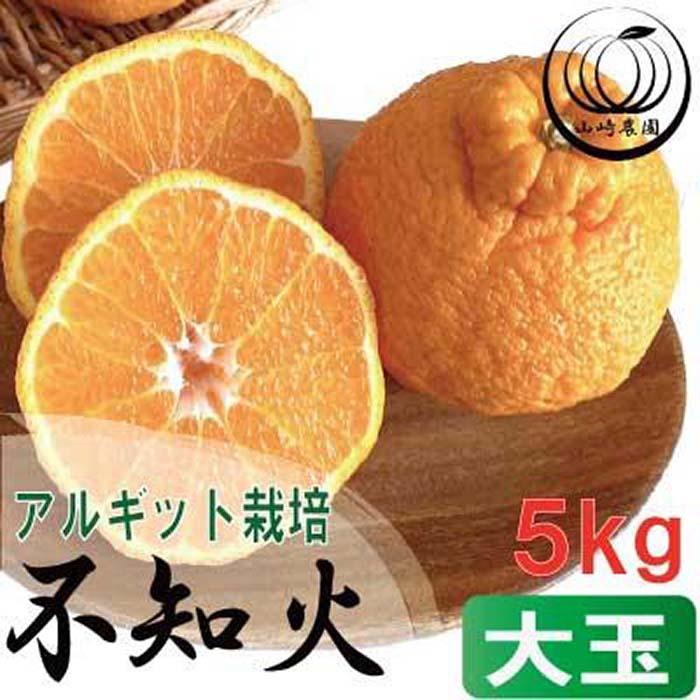 【ふるさと納税】アルギット 不知火 約5kg 大玉 サイズ（15～18玉） 数量限定 先行予約 有田川町 山崎農園 | フルーツ 果物 くだもの 食品 人気 おすすめ 送料無料