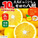 【ふるさと納税】八朔 (はっさく) 大玉 どっこいしょ 箱込 10kg (内容量約 9.2kg) 秀品 優品 混合 2Lサイズ以上 和歌山県産 産地直送【..