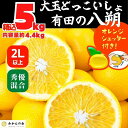 ・ふるさと納税よくある質問はこちら ・寄付申込みのキャンセル、返礼品の変更・返品はできません。あらかじめご了承ください。 ・ご要望を備考に記載頂いてもこちらでは対応いたしかねますので、何卒ご了承くださいませ。 ・寄付回数の制限は設けておりません。寄付をいただく度にお届けいたします。 商品概要 【発送時期】2024年2月10日から発送　※2月10日以降はご注文後最短2日〜7日以内 八朔はみかん同様生産量が非常に多い柑橘です。みかんとは味も見た目も異なりグレープフルーツのような見た目で香りが高く、プリッとした果肉とサクサクした食感が特徴です。上品な甘さと酸味に加え、ほろ苦さがあり根強い人気の柑橘です。1月頃から3月頃まで収穫があり収穫後貯蔵して追熟させます。収穫直後は酸味が強い為果実の状態を観察しながら酸味が落ち着くのを待って出荷していきますので長い期間お楽しみ頂けます どっこいしょは大玉規格の商品で食べ応えのあるサイズ感となっております。付属のオレンジシュッターは厚い果皮も簡単に剥くことができる優れもの。中の薄皮も剥く事ができるので包丁いらずで便利商品です 使用方法は動画でも紹介していますのでご覧ください ※コンパクトサイズなので皮と一緒に捨てないようご注意下さい ●商品説明 追熟を行いますのでヘタが茶色く変色したり、外れてしまう事がございます。あらかじめご了承下さい。八朔は追熟中乾燥から実を守るため天然のワックス成分を分泌するので果皮が少しべとつきますが食味には問題ございません 秀優品混合ですので果皮に傷・黒点のついた果実が混ざります。ご了承下さい 大玉規格の商品です。画像でサイズ感をご確認下さい ●注意事項 ※収穫時期の天候に左右されることもあり予定より出荷に時間がかかる場合がございます。予めご了承ください ご準備出来次第、順に発送いたしますのでしばらくの間お待ち合わせいただきますようにお願い申し上げます 生鮮品の為運送中の衝撃や温度帯の変化、お荷物の受け取りの遅れ等で商品が傷む場合がございます。品質に問題がございましたらご一報をお願い致します オレンジシュッターをご利用の際は説明書をよく読み手等を切らないようご注意下さい ※写真はイメージです 事業者名 株式会社みかんの会 連絡先 0737-23-8511 検索キーワード ぷりぷり さくさく 有田 和歌山 お歳暮 お中元 プレゼント 贈り物 フルーツ 果物 くだもの かんきつ 柑橘 柑橘類 大玉 小玉 季節 みかんのかい みかんの会 mikannokai 送料込み 送料無料 内容量・サイズ等 規格：秀優品混合・大玉 ※果皮に傷・黒点がある果実が混ざります。 重量：箱込5kg(内容量4.4kg) サイズ：2Lサイズ以上※大きさは画像でご確認ください 品種：八朔（はっさく） 産地（都道府県）：和歌山 旬の時期：2月〜4月 販売者：株式会社みかんの会　和歌山県有田郡有田川町糸川400 保存方法：荷物到着後箱から出し直射日光の当たらない風通しの良い冷暗所で保存していただくと長くお楽しみ頂けます。 賞味期限 生鮮品につき表示なし 到着後はなるべくお早めにお召し上がり下さい 追熟を検討される方は傷みに注意し行ってください 配送方法 常温 発送期日 2024年2月10日から発送　※2月10日以降はご注文後最短2日〜7日以内 アレルギー オレンジ ※ 表示内容に関しては各事業者の指定に基づき掲載しており、一切の内容を保証するものではございません。 ※ ご不明の点がございましたら事業者まで直接お問い合わせ下さい。 名称 八朔 大玉 どっこいしょ 箱込 5kg (内容量約 4.4kg) 秀優品混合 2Lサイズ以上 産地名 和歌山 保存方法 荷物到着後箱から出し、直射日光の当たらない、風通しが良い冷暗所で保存してください。 その他 ヘタ部分を下にしキッチンペーパー等を引いて保存いただきますと保存効果がアップします。 事業者情報 事業者名 株式会社みかんの会 連絡先 0737-23-8511 営業時間 8:00〜17:00 定休日 日曜・祝日 関連商品【ふるさと納税】八朔 (はっさく) 秀品 玉ぞろい 箱込 5kg(内容...【ふるさと納税】八朔 (はっさく) 小玉ちゃん 箱込 10kg(内容量...【ふるさと納税】訳あり それでも 不知火 箱込 5kg(内容量約 4....10,000円10,000円10,000円「ふるさと納税」寄付金は、下記の事業を推進する資金として活用してまいります。 （1）だれもが生き生きと暮らせる福祉社会の実現事業 （2）地域の特性を活かした産業・観光の活性化事業 （3）自然と共生し、快適に暮らせる生活基盤の整備事業 （4）可能性を伸ばしまちを豊かにする教育・学習の推進事業 （5）住民参加とさまざまな交流により開かれたまちづくり事業 （6）町長お任せコース（特に指定事業なし）