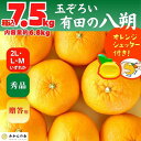 9位! 口コミ数「0件」評価「0」八朔 (はっさく) 秀品 玉ぞろい 箱込 7.5kg(内容量約 6.8kg) 2L L Mサイズのいずれか 和歌山県産 産地直送【おまけ付き･･･ 