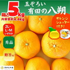 【ふるさと納税】八朔 (はっさく) 秀品 玉ぞろい 箱込 5kg(内容量約 4.4kg) 2L L Mサイズのいずれか 和歌山県産 産地直送【おまけ付き】【みかんの会】 | みかん 八朔 和歌山 大玉 秀 優 産地直送 和歌山県 有田川町 ふるさと納税 返礼品 故郷納税