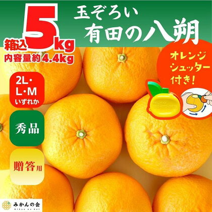 八朔 (はっさく) 秀品 玉ぞろい 箱込 5kg(内容量約 4.4kg) 2L L Mサイズのいずれか 和歌山県産 産地直送【おまけ付き】【みかんの会】 | みかん 八朔 和歌山 大玉 秀 優 産地直送 和歌山県 有田川町 ふるさと納税 返礼品 故郷納税