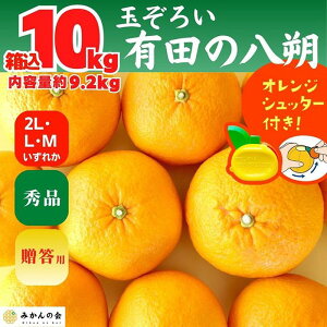 【ふるさと納税】八朔 (はっさく) 秀品 玉ぞろい 箱込 10kg(内容量約 9.2kg) 2L L Mサイズのいずれか 和歌山県産 産地直送【おまけ付き】【みかんの会】 | みかん 八朔 和歌山 大玉 秀 優 産地直送 和歌山県 有田川町 ふるさと納税 返礼品 故郷納税