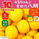 6位! 口コミ数「0件」評価「0」八朔 (はっさく) 小玉ちゃん 箱込 10kg(内容量約 9.2kg) 秀品 優品 混合 Sサイズ以下 和歌山県産 産地直送【おまけ付き】【･･･ 