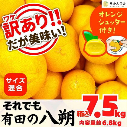 訳あり それでも 八朔 (はっさく) 箱込 7.5kg (内容量約 6.8kg) サイズミックス B品 和歌山県産 産地直送【おまけ付き】【みかんの会】 | みかん 八朔 和歌山 家庭用 和歌山県 有田川町 訳あり ふるさと納税 返礼品 故郷納税