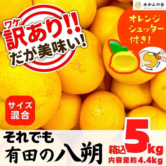 【ふるさと納税】八朔 訳あり それでも 有田の八朔 (はっさく) 箱込 5kg (内容量約 4.4kg) サイズミックス B品 和歌山県産 産地直送【おまけ付き】【みかんの会】 | みかん 八朔 和歌山 家庭用 和歌山県 有田川町 訳あり ふるさと納税 返礼品 故郷納税