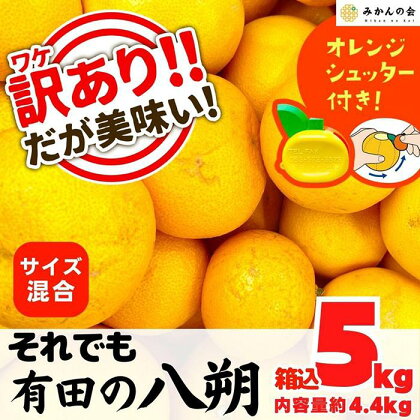 訳あり それでも 八朔 (はっさく) 箱込 5kg (内容量約 4.4kg) サイズミックス B品 和歌山県産 産地直送【おまけ付き】【みかんの会】 | みかん 八朔 和歌山 家庭用 和歌山県 有田川町 訳あり ふるさと納税 返礼品 故郷納税