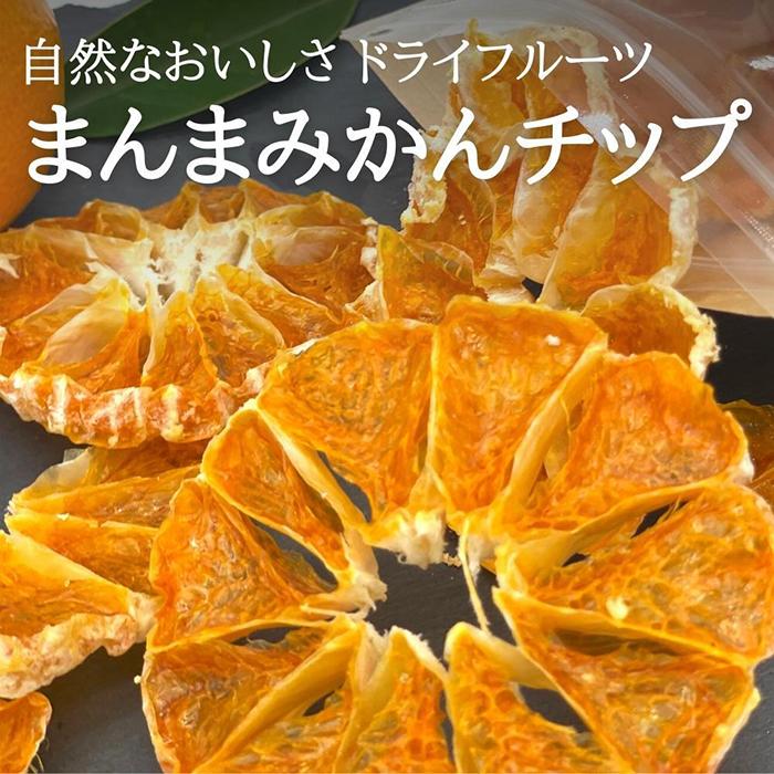 ドライフルーツ みかんチップ 100g ( 20g × 5袋 ) 和歌山県産 果物使用 自社製造 [みかんの会] | 和歌山 おやつ ドライフルーツ みかん 有田みかん チップ 食べきり 取り寄せ 人気