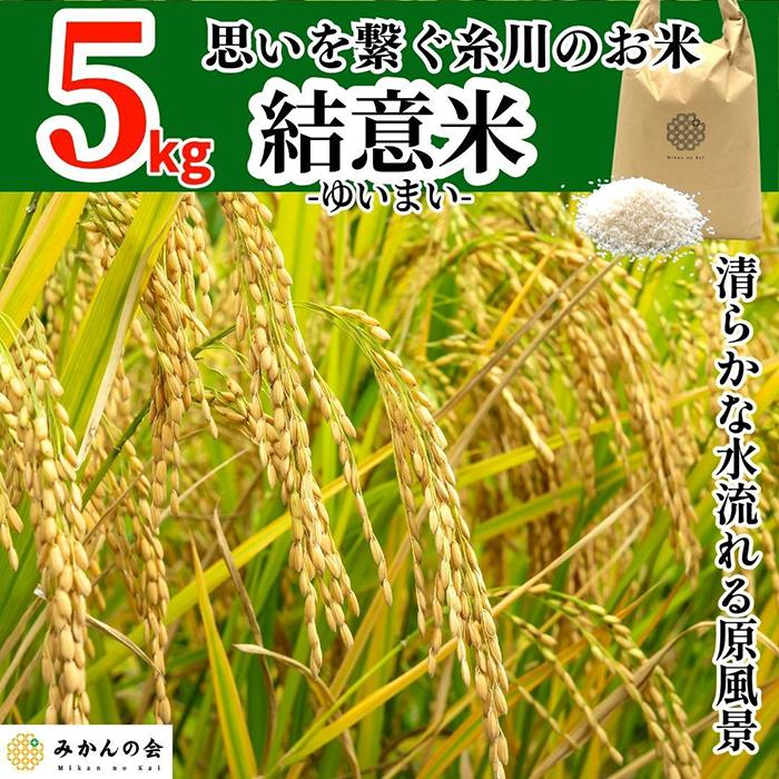 お米 5kg 思いを繋ぐ糸川のお米 結意米 [ゆいまい]和歌山県産 [みかんの会] | 米 こめ ごはん ご飯 御飯