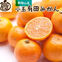 4位! 口コミ数「0件」評価「0」＜2024年11月より発送＞厳選 小玉な有田みかん2kg+60g（傷み補償分）【光センサー選果】 | みかん 蜜柑 フルーツ 果物 くだもの･･･ 