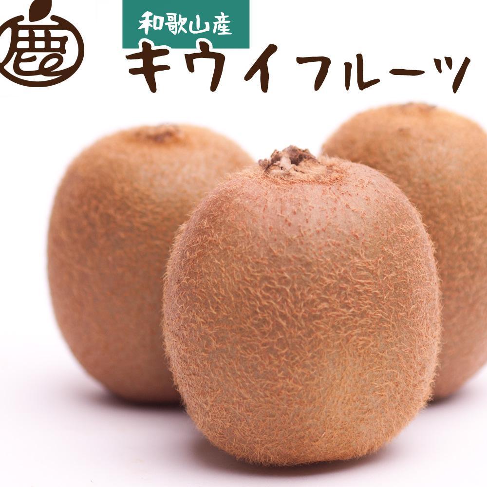 [先行予約]厳選 キウイ0.5kg+250g(傷み補償分)[扁平果] | キウイ フルーツ 果物 くだもの 食品 人気 おすすめ 送料無料
