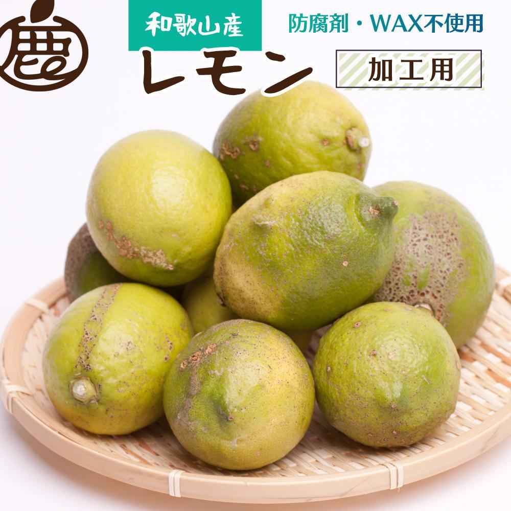 加工用 レモン4kg+120g（傷み補償分）【和歌山有田産】【防腐剤・WAX不使用、安心の国産レモン】【わけあり・訳ありレモン】【果汁用】