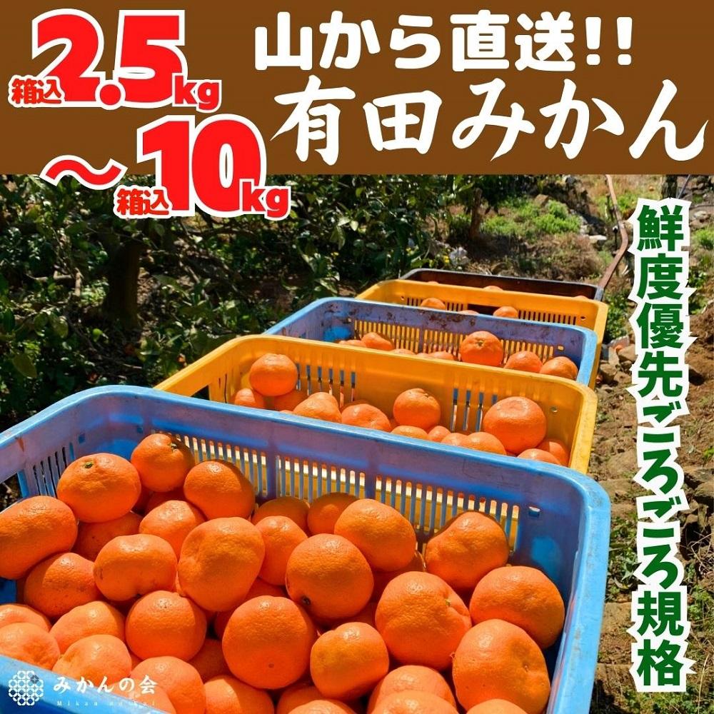 【ふるさと納税】みかん 訳あり 山から直送 箱込 2.5kg ～ 10kg ( 内容量約 2.3kg ~ 9.2kg ) 鮮度優先ごろごろ規格 和歌山県産 産地直送 家庭用 わけあり【みかんの会】 | フルーツ 果物 くだもの 食品 人気 おすすめ 送料無料