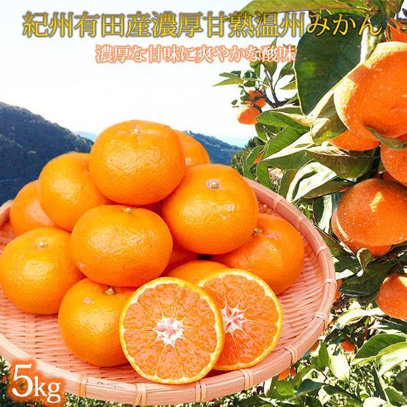 【ふるさと納税】季節の柑橘定期便(みかん・不知火・せとか) 全3回 【1・2・3月発送】 | フルーツ 果物 くだもの 食品 人気 おすすめ 送料無料 定期便