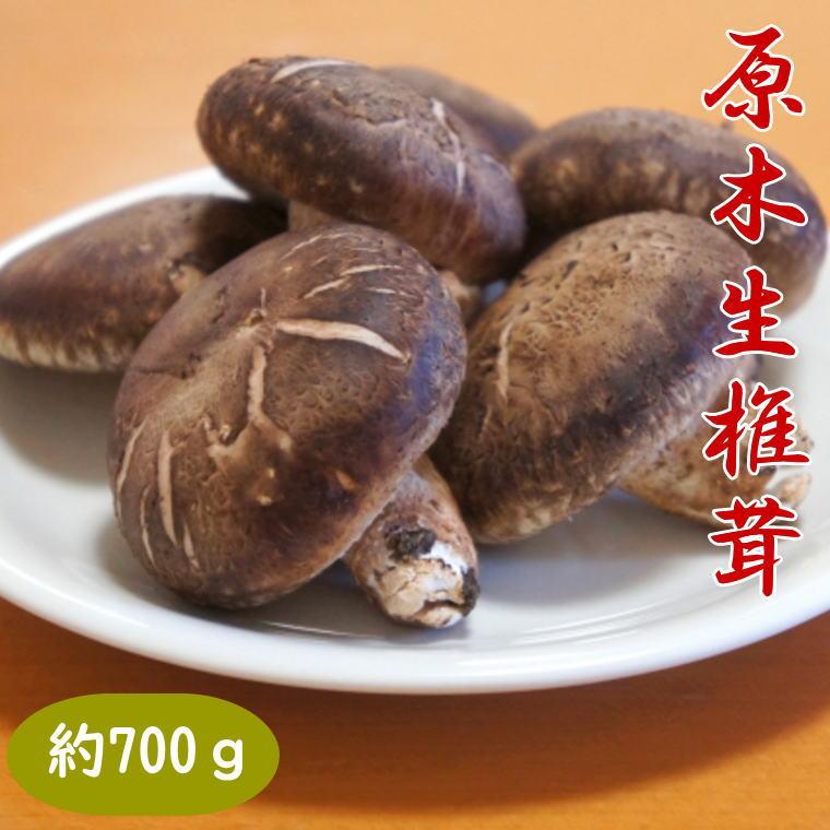 【ふるさと納税】原木生しいたけ約700g 和歌山有田産 ★2025年11月下旬頃より順次発送 | しいたけ 原木 食品 人気 おすすめ 送料無料