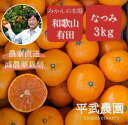 農家直送！なつみオレンジ 3kg～蛍飛ぶ町から旬の便り～