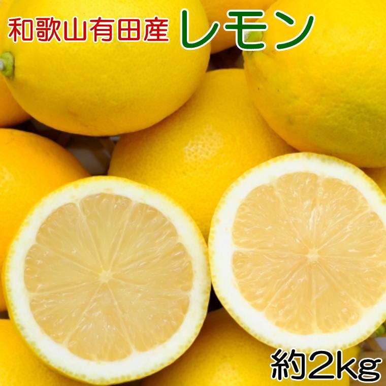 【ふるさと納税】和歌山有田産 国産レモン 約2kg ★2025年2月中旬頃より順次発送【安心果実】 | レモン 柑橘 フルーツ 果物 くだもの 食品 人気 おすすめ 送料無料